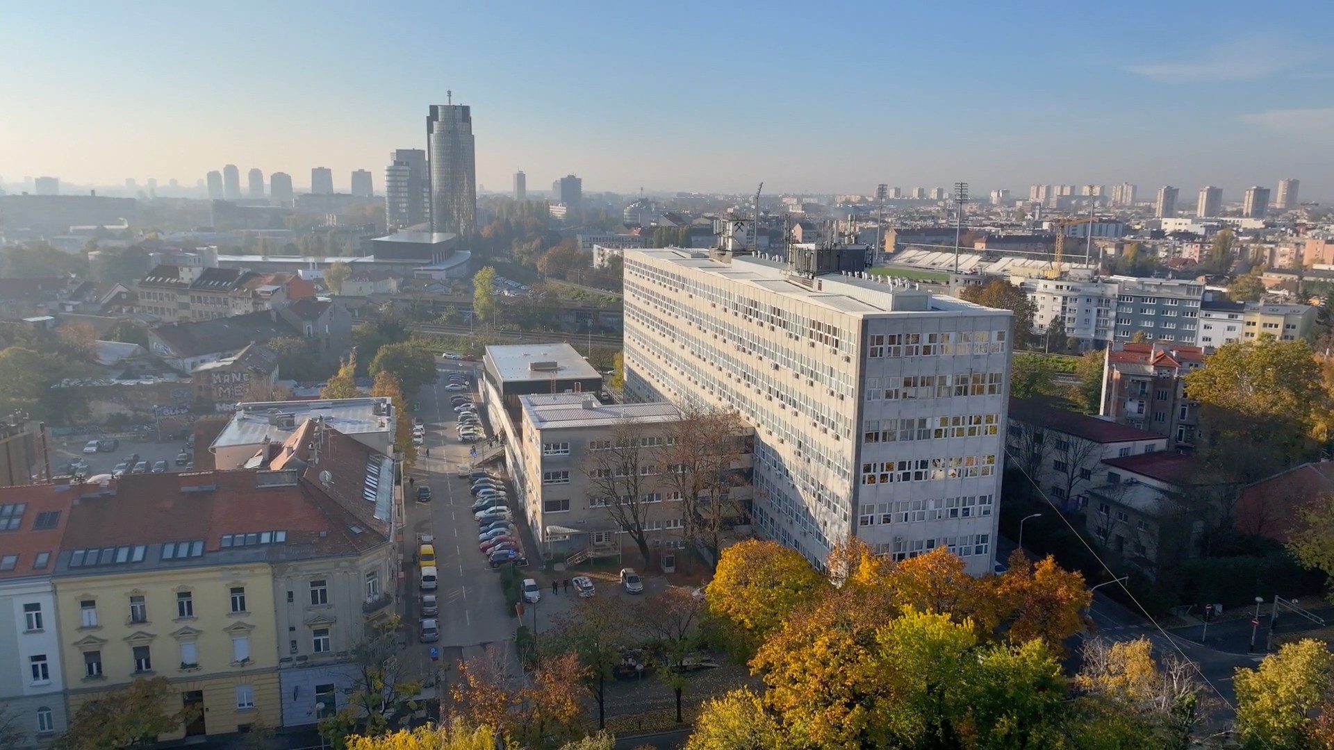 Faculty